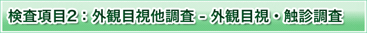 検査項目2　外観目視他調査 外観目視・触診調査