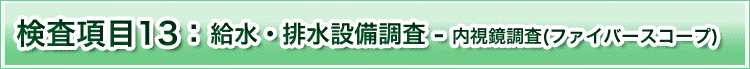 検査項目13　内視鏡調査　ファイバースコープ